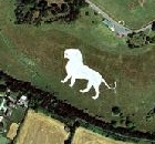 Whipsnade Lion Satellite Photograph